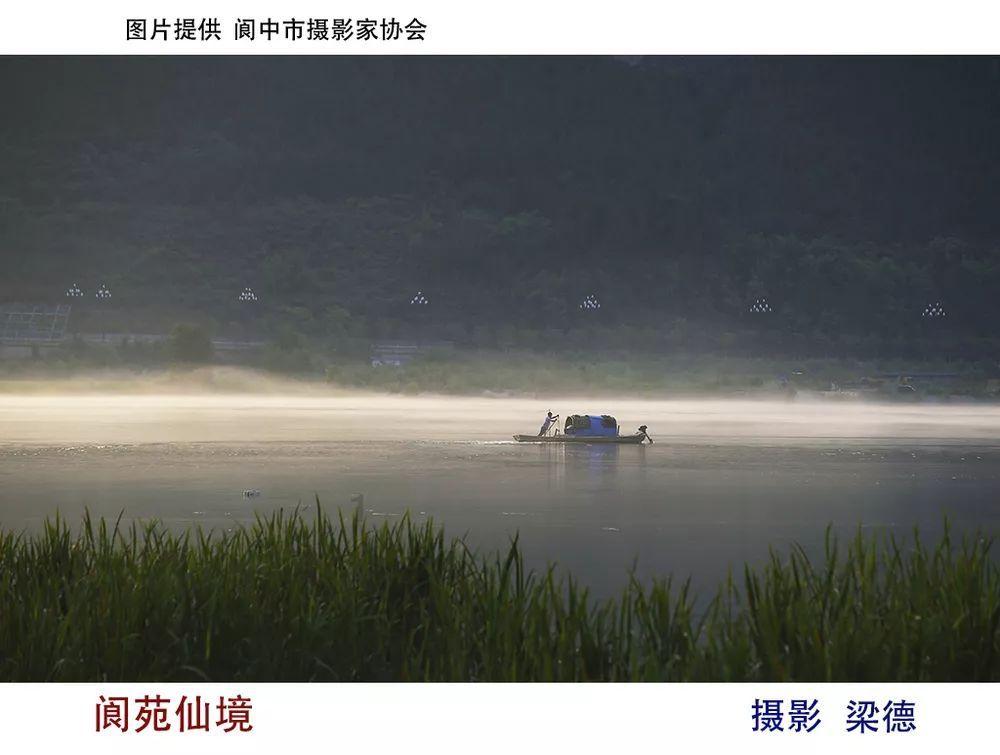 燃烧吧大脑免广告最新版