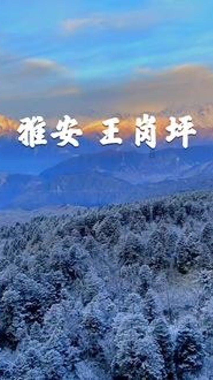 燃烧吧大脑装瓶子游戏