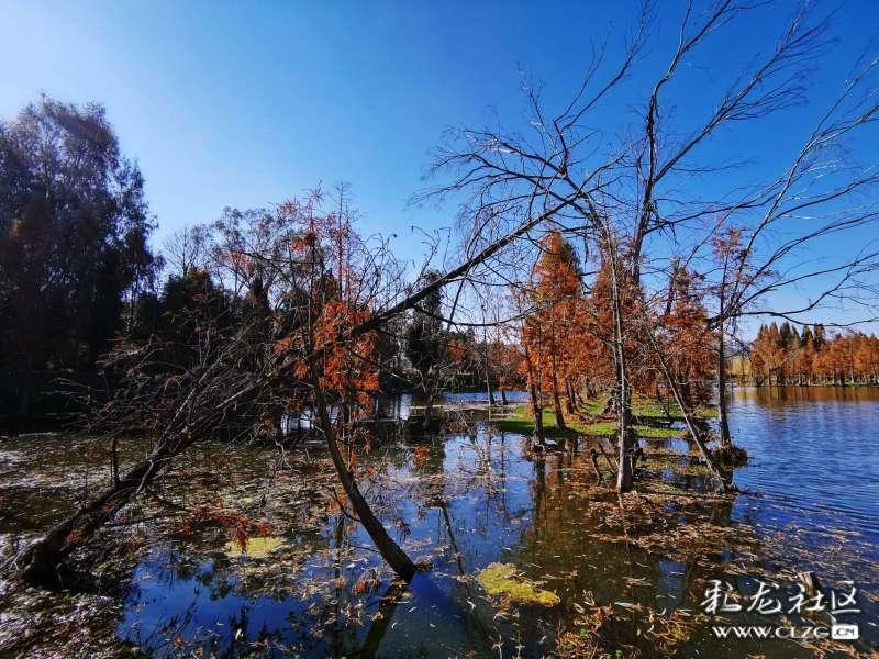 陇南机场全力除雪保畅通