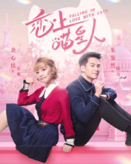 懒惰男孩逃脱
