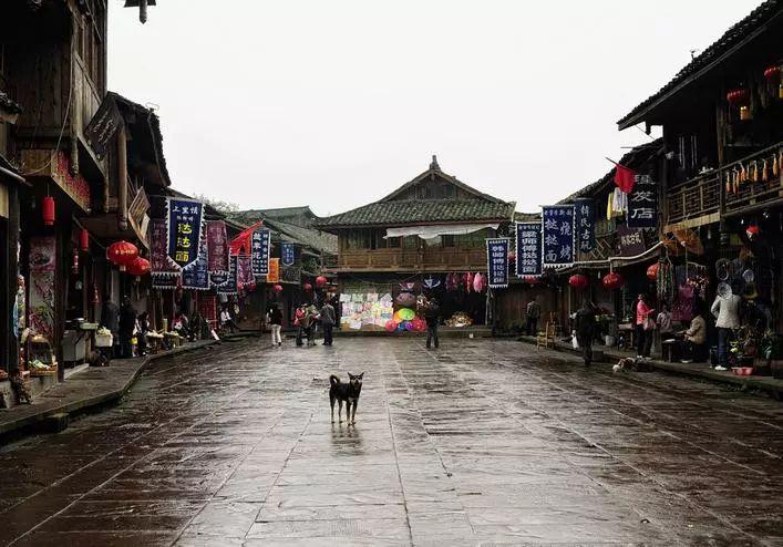 辽宁上海决胜时刻太戏剧：弗格血布互送失误 韩德君罚球2中1绝平