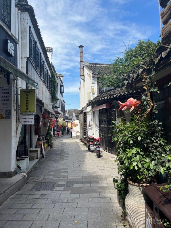 拯救小犀牛