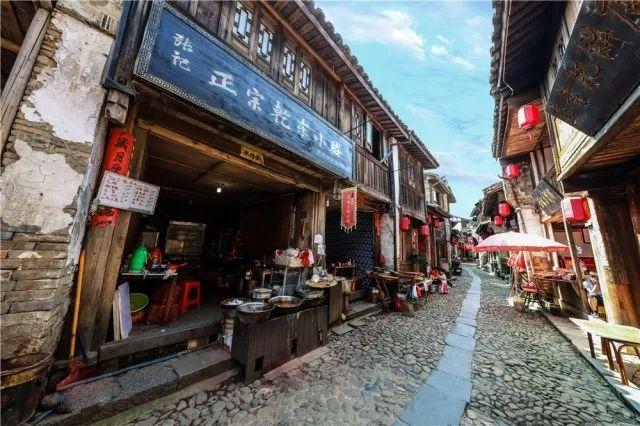 探索鲸鱼是哺乳动物,它为什么会生活在海里?社区
